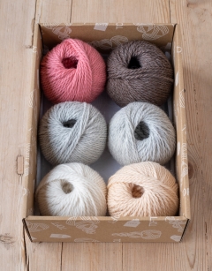 Pets Discovery Box