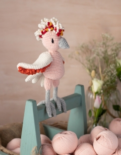 Archer the Pink Cockatoo