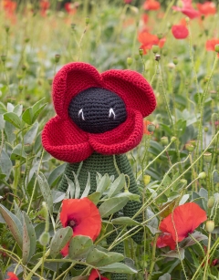 Poppy