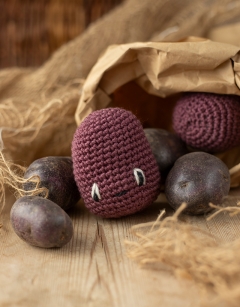 Seed Potato