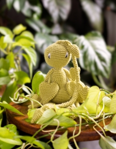 Pothos