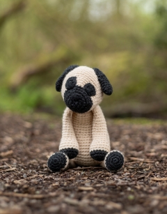 Spencer the Pug