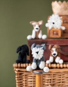 Puppy Discovery Box