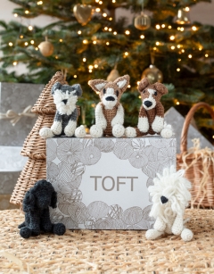 Puppy Discovery Box