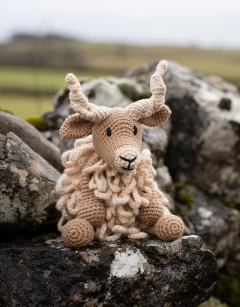 Tracy the Racka Sheep