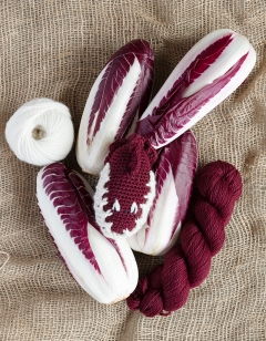 Radicchio