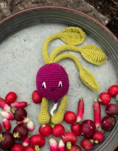 Radish