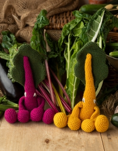 Rainbow Chard