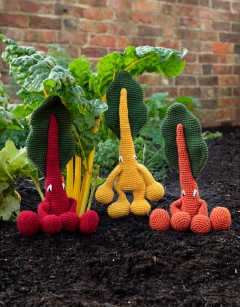 Rainbow Chard