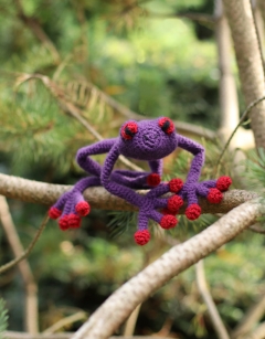 Gretchen the Red-Eyed Tree Frog 