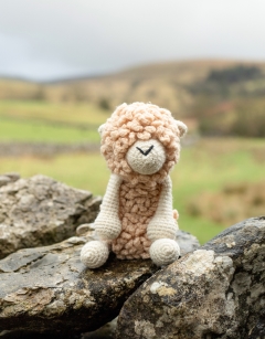 Everett the Romney Sheep Kit