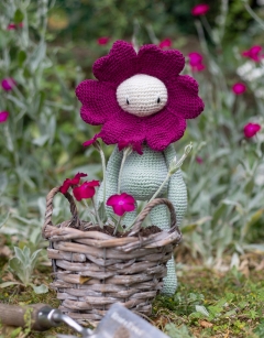 Rose Campion