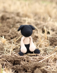 Claudia the Saddleback Pig