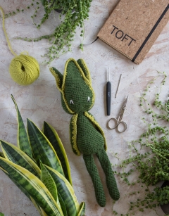 Sansevieria