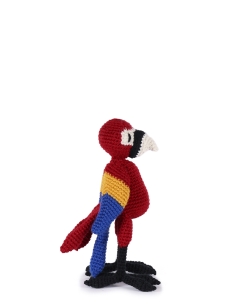 Elijah the Scarlet Macaw