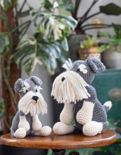 Romeo the Schnauzer