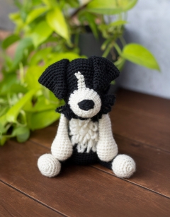 Daisy the Sheepdog