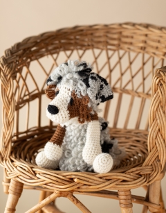 Jethro the Australian Shepherd