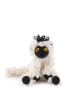 Ethan the Silky Sifaka