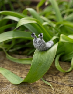 Rudyard the Slug Kit