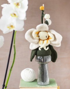 Splash Moth Orchid