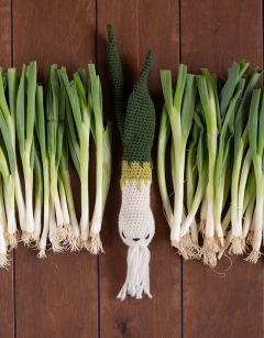 Spring Onion