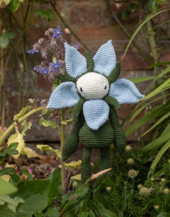 Starflower