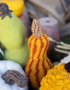 Striped Crookneck Gourd