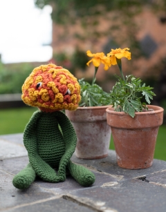 Marigold