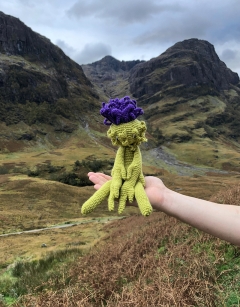Thistle