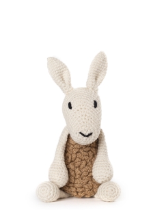 Barbara the Border Leicester Sheep