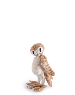 Barney the Barn Owl