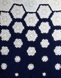 Fallen Snow Blanket