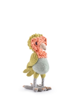 Gianni the Lovebird
