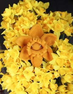 TOFT Yellow DK Yarn 25g