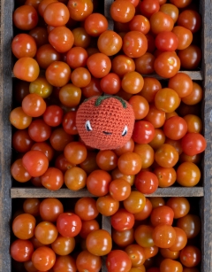 Tomato Chutney Jar