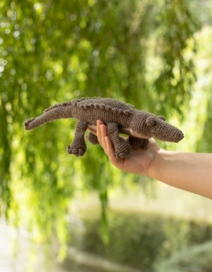 Nicholas the Crocodile