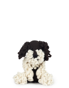 Otto the Lagotto Romagnolo