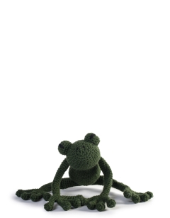 Robert the Frog