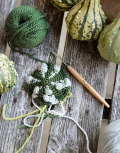 Striped Warty Gourd