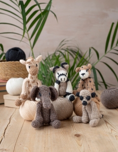 Savanna Discovery Box
