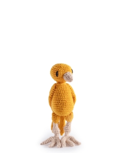 Ernest the Canary
