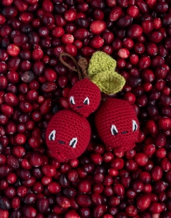 Sprig of Cranberries