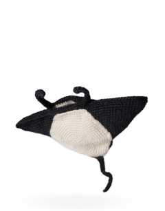 Jade the Manta Ray