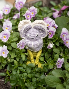 Mini Violet