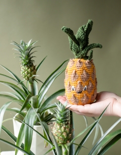Pineapple Preserve Jar