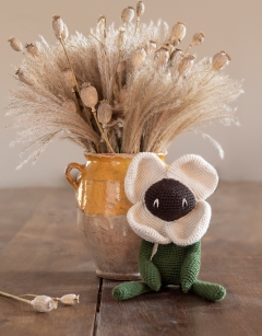 Poppy