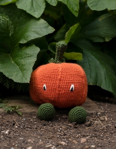 Pumpkin
