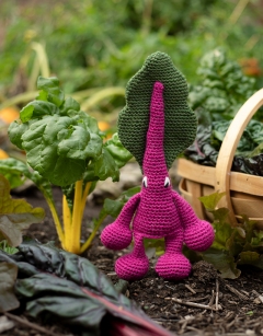 Rainbow Chard