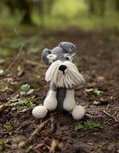 Romeo the Schnauzer
